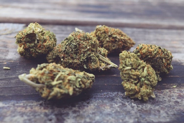 The Best Weed Strains for Pain, Inflammation and Other Ailments
