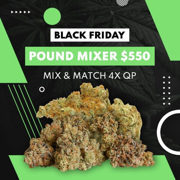 BLACK FRIDAY MIX & MATCH 4X QP