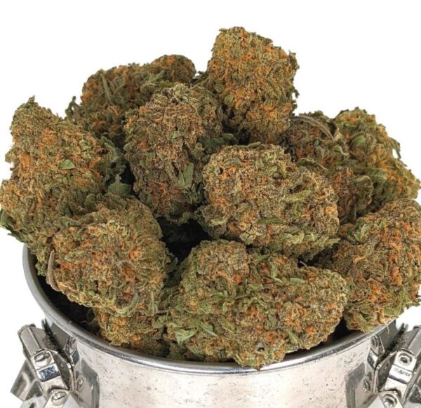 BLACK FRIDAY MIX & MATCH 4X QP - Image 3