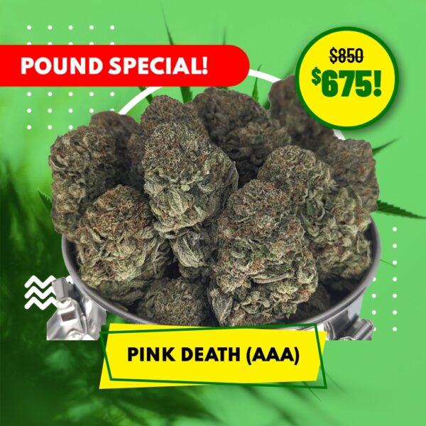 POUND SPECIAL - PINK DEATH (AAA)