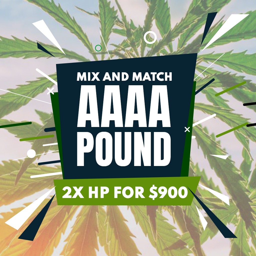 MIX & MATCH 'AAAA' POUND - $900