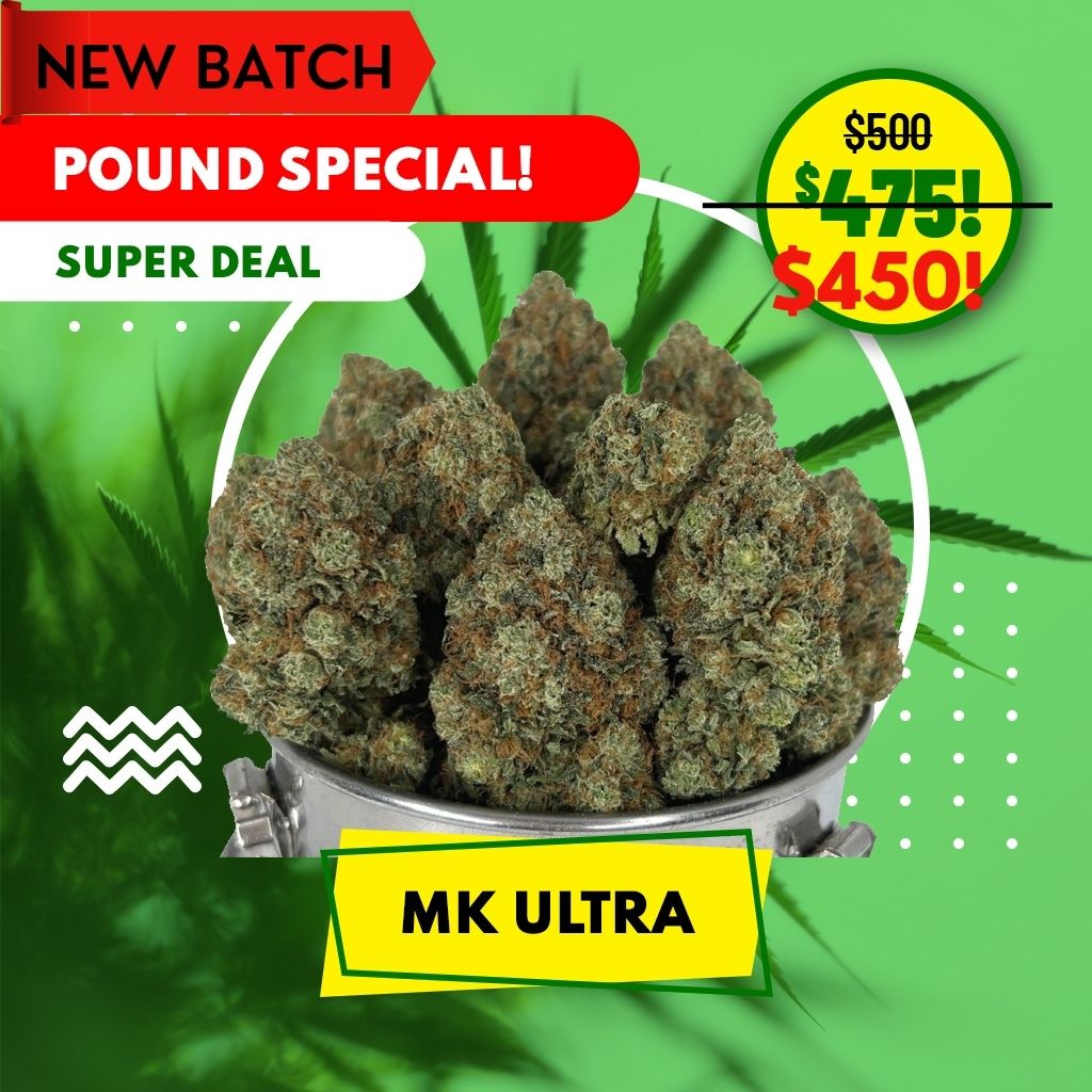 POUND SPECIAL - MK ULTRA