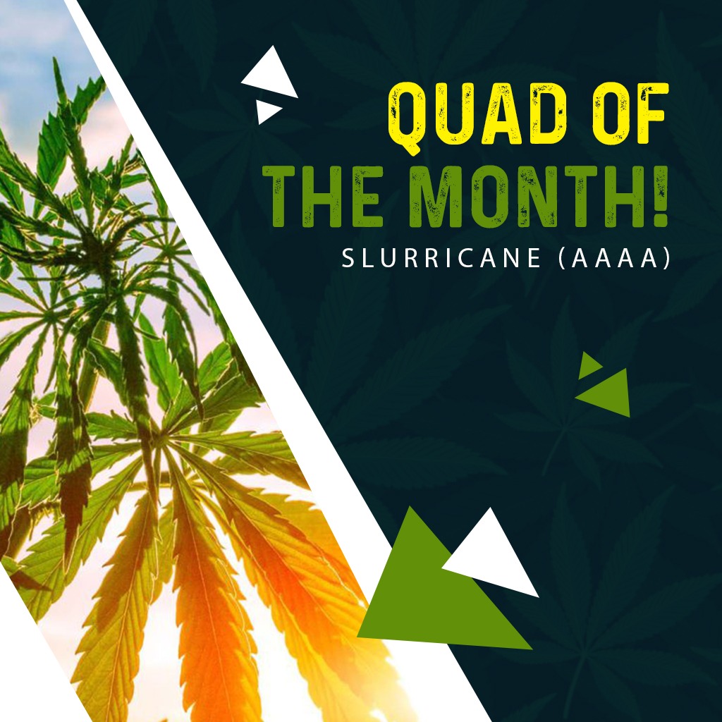 QUAD OF THE MONTH - SLURRICANE