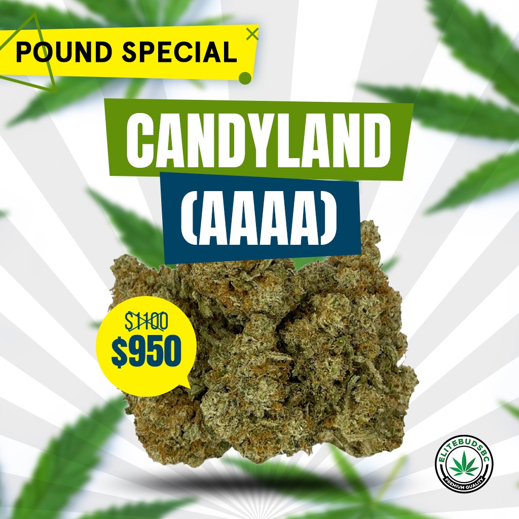 CANDYLAND (AAAA)