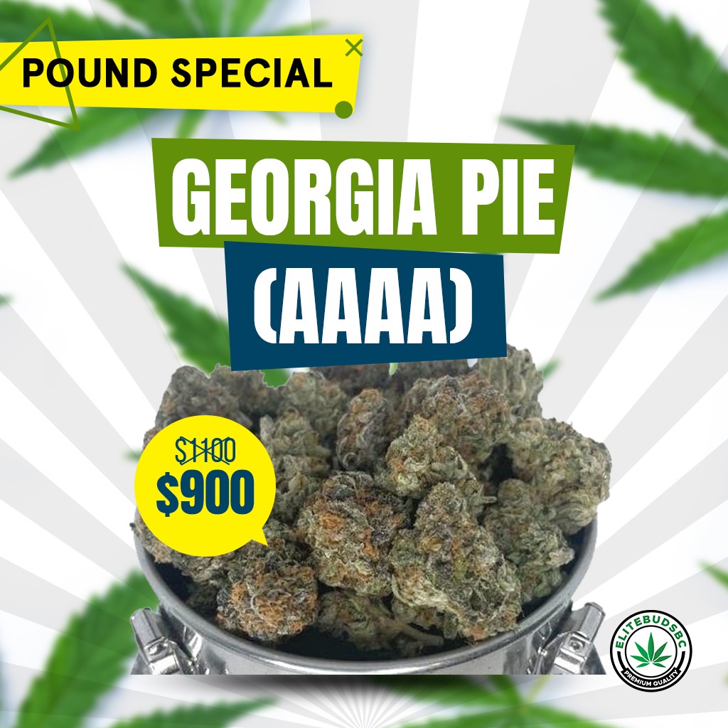 GEORGIA PIE (AAAA)