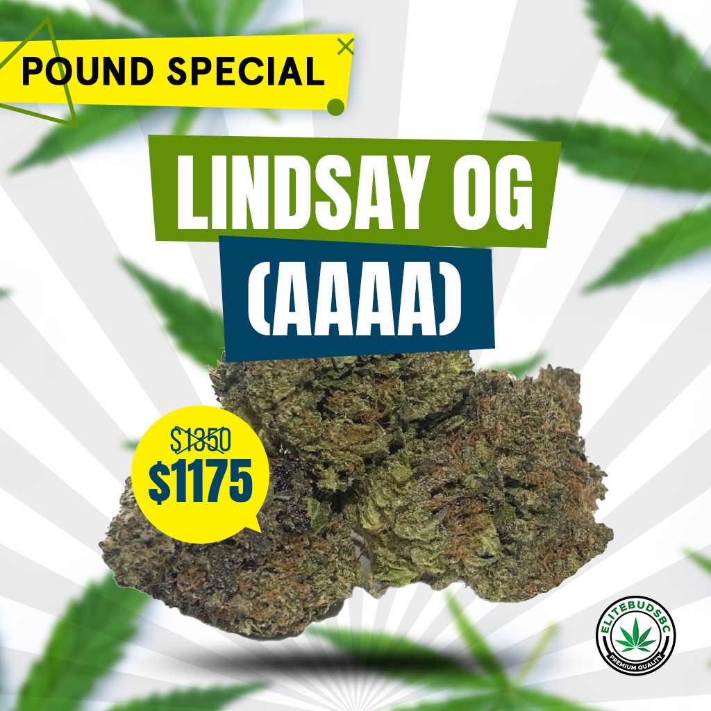 LINDSAY OG (AAAA)