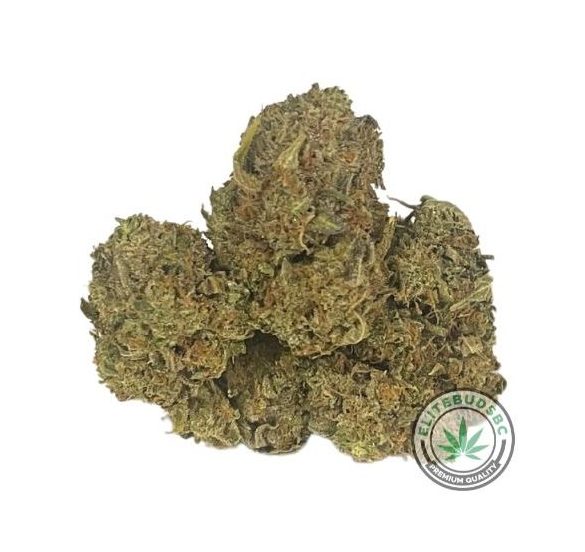 HALF POUND SPECIAL - TOM FORD PINK KUSH (AAA)