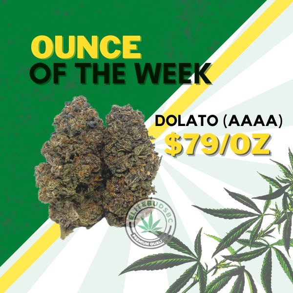 DOLATO (AAAA) Strain