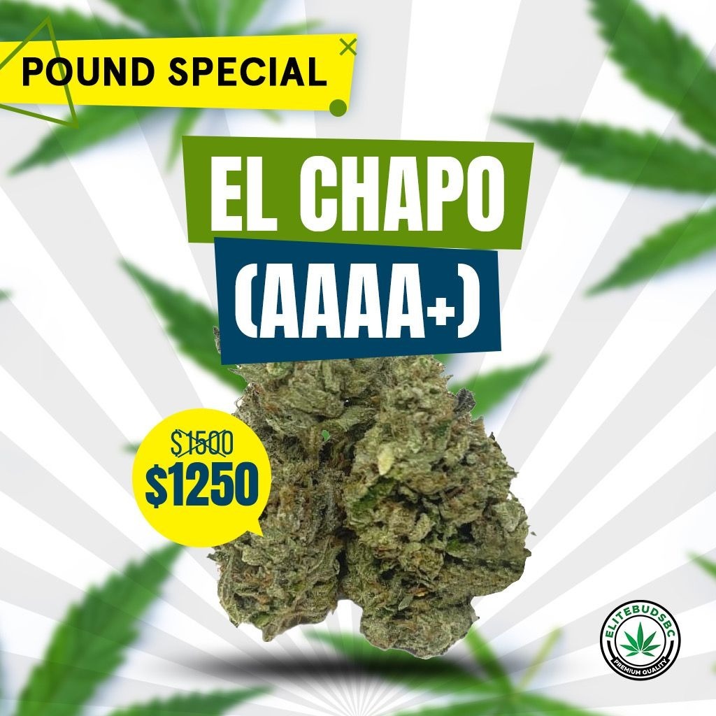 POUND SPECIAL - EL CHAPO (AAAA+)