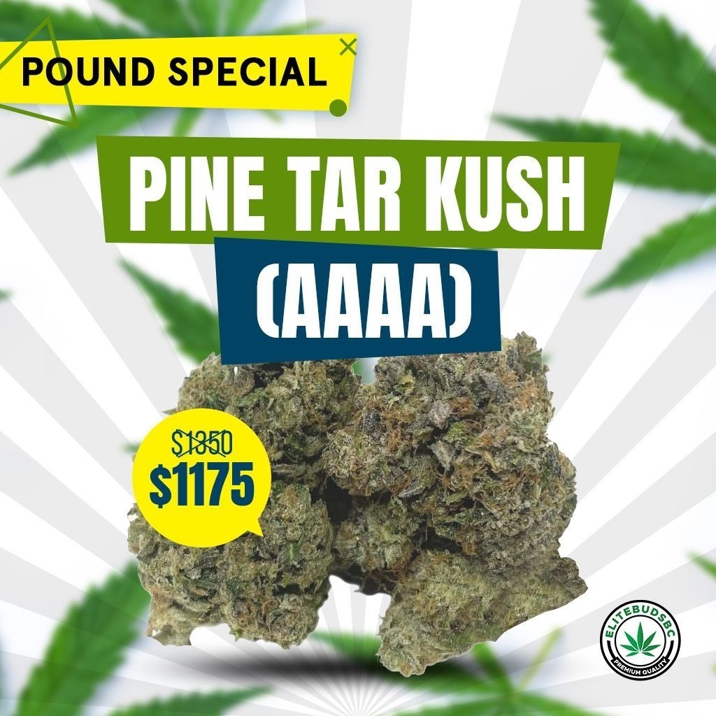 PINE TAR KUSH (AAAA)