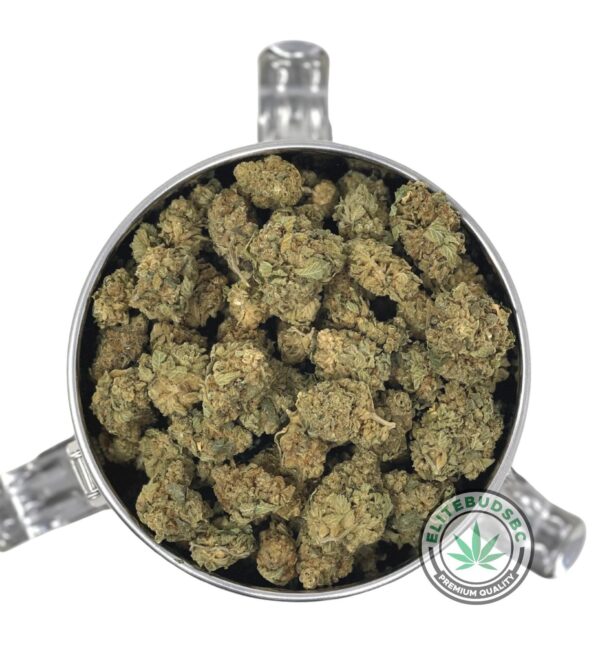 VIOLATOR KUSH (AA) Strain