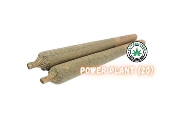 POWER PLANT PRE ROLL JOINT- 2G