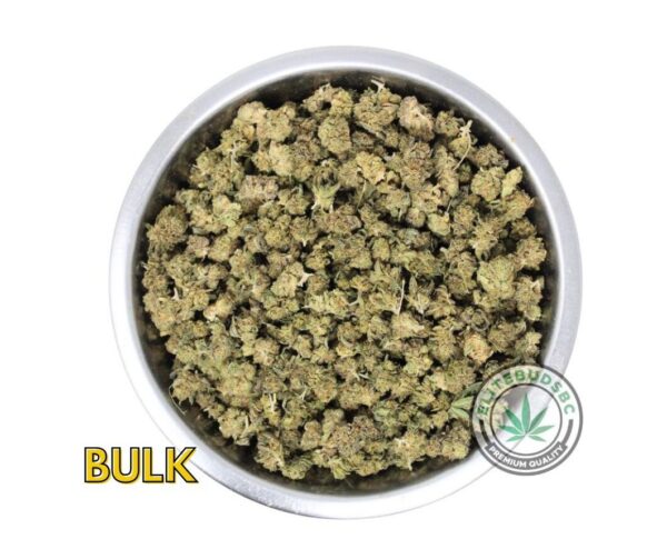 POUND SPECIAL - BLUE COMATOSE (AAAA) POPCORN