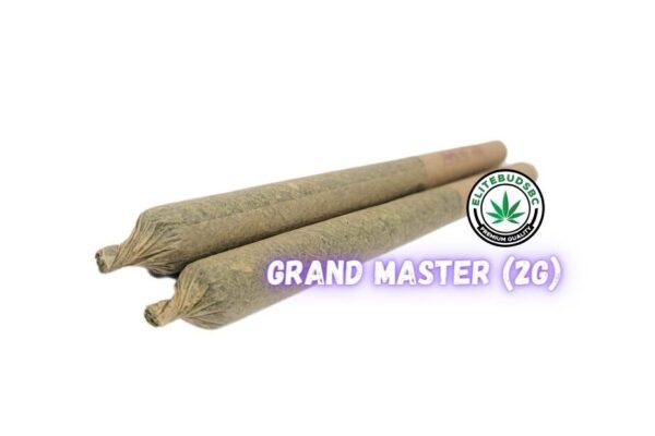 GRAND MASTER PRE ROLL JOINT - 2G