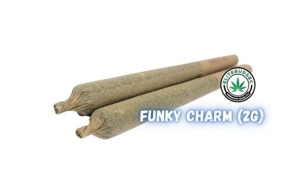 FUNKY CHARM PRE ROLL JOINT- 2G