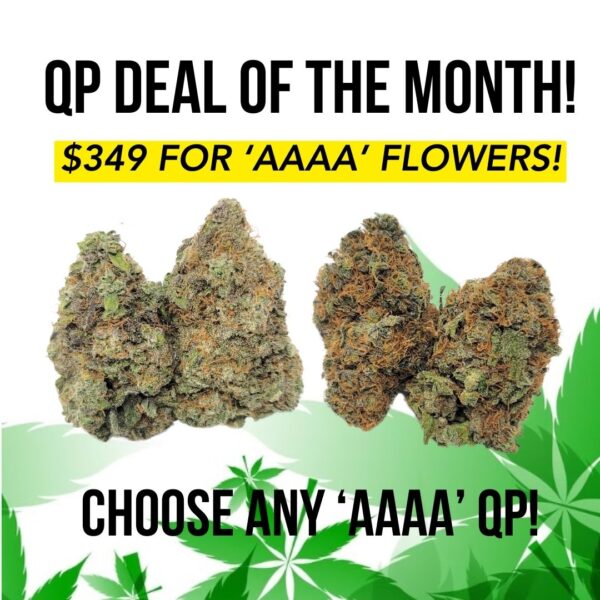 QP BULK SPECIAL - QUAD QP FOR $349!!